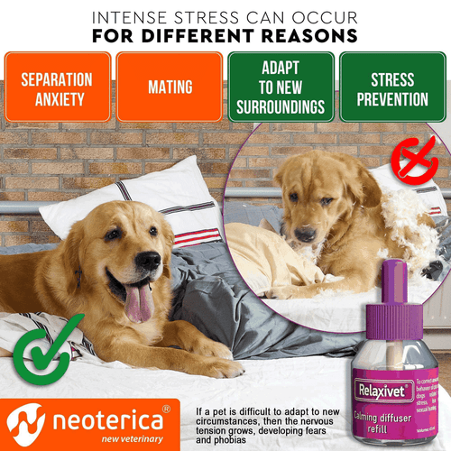 Dog Calming Pheromone Diffuser Refill 2 Pack Improved in Germany Anti Anxiety - Picture 3 of 6