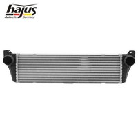 Hajus LadeluftküHler FüR Mercedes-Benz Viano Vito Bus W639 2010-2014