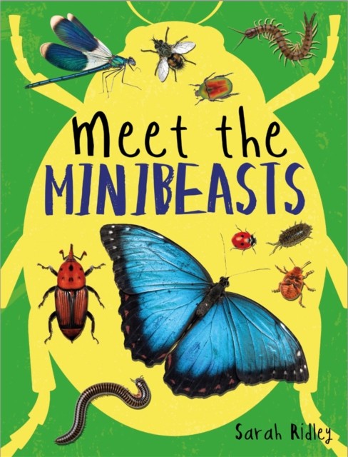 Meet the Minibeasts.by Ridley  New 9781526307392 Fast Free Shipping** - Image 3