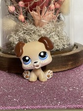 🌸Petshop CHIEN Boxer Chiot