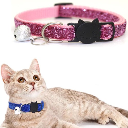 kitten collar ebay