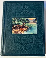 NATURE Vol 3 Our Wonder World Library Of Knowledge 1930 Decorative Hardcover