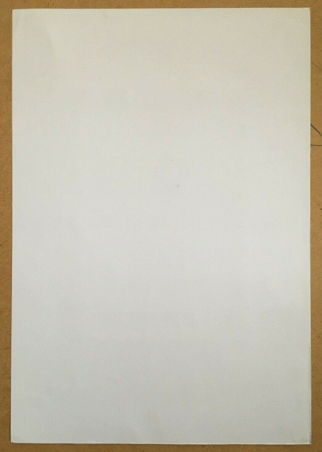 Bild 11 von 12