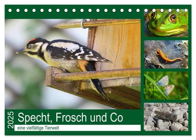 Specht, Frosch und Co - eine vielfältige Tierwelt (Tischkalender 2025 DIN A5 que