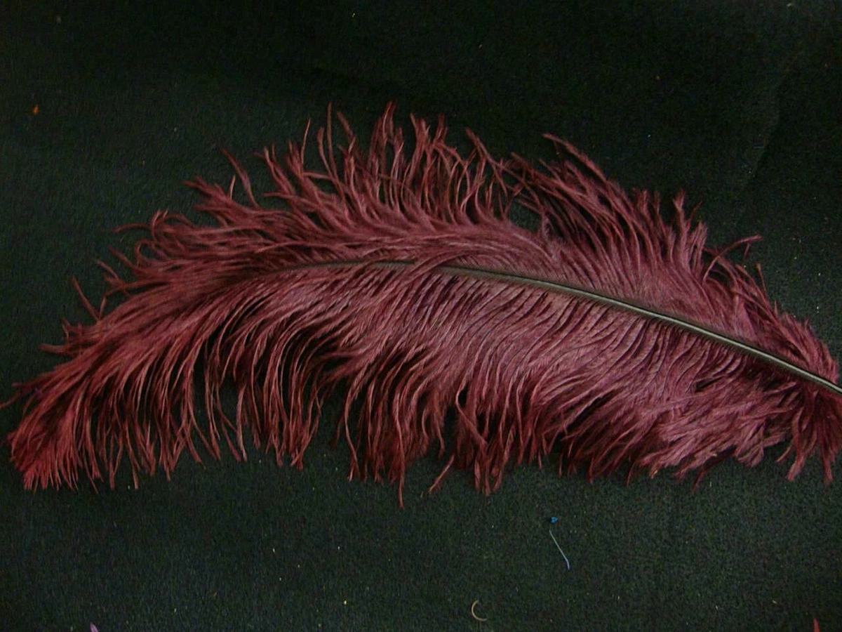 Maroon on sale ostrich feathers
