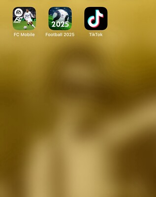 I PHONE 14 PRO MAX With TikTok 