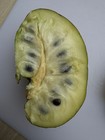 Annona Deceptrix — photo 5