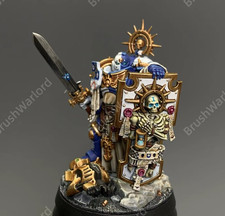 Warhammer 40K Space Marines Captain With Relic Shield pro Painted Games Workshop