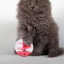 Cat Treat Ball Pet Slow Feeder Exercise Educational Toy Treat Dispensing Cat