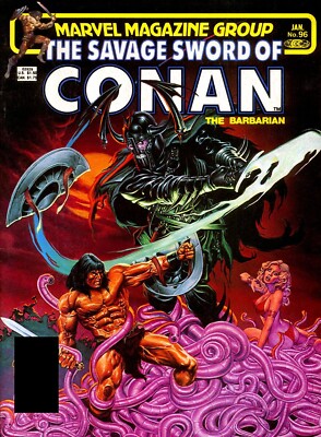 20 x .Wildes Schwert von Conan Comic Taschen und Tafeln transparent wiederverschließbar.Größe4