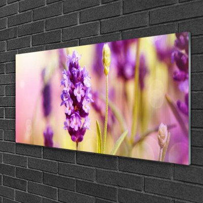 Tableau Sur Verre Impression Floral 100x50 Cm - Thème Fleurs Multicolores, Style Moderne - Neuf