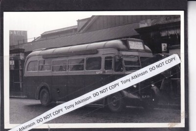 LT / GREEN LINE - AEC REGAL T TYPE - ELP179 / T455 - ROUTE 706 - PHOTO - B11941