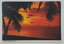 Postcard Florida Sunset Tropical Palm Trees Ocean Night 1980 Vintage Retro