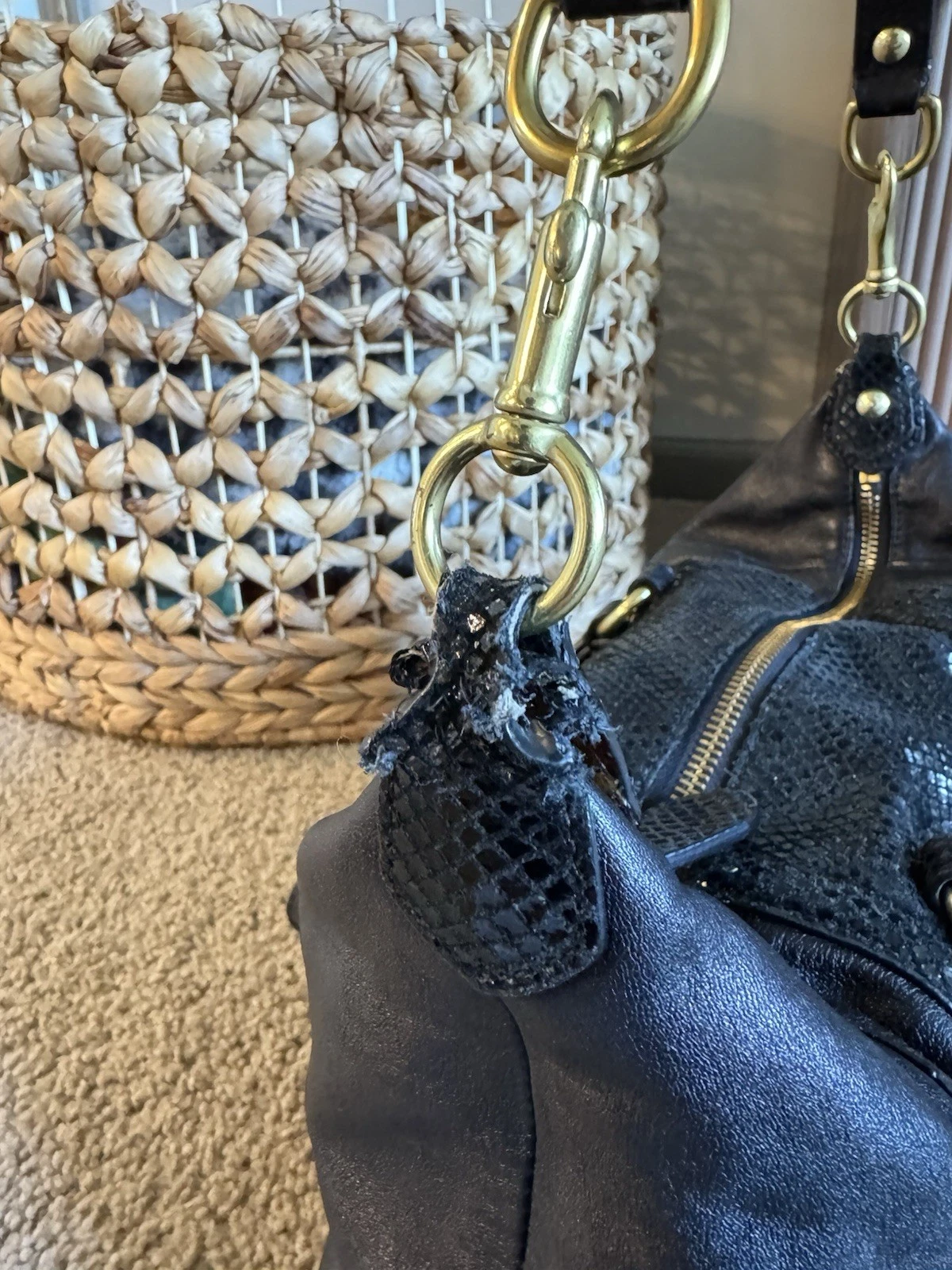 Borsa a tracolla Coach Ashley nera pelle con accenti di pelle di serpente A1373 F1924