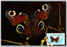 Romania 1985 Butterfly Maxi Card w/Pictorial Butterfly Cancel