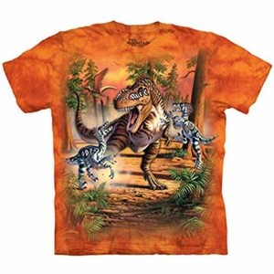 The Mountain Kid/'s 100/% Cotton T-Shirt Tee Find 8 Black Bears Tee S-M-L-XL NWT.