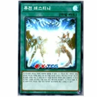 PAC1-KR048 - Yugioh - Korean - Fusion Destiny - Super