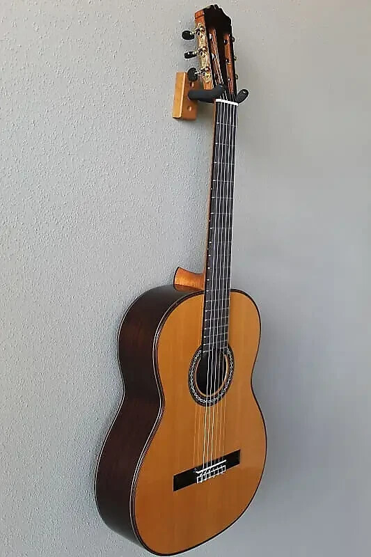 Brand New Cordoba C10 Cedar Top Classical Guitar eBay