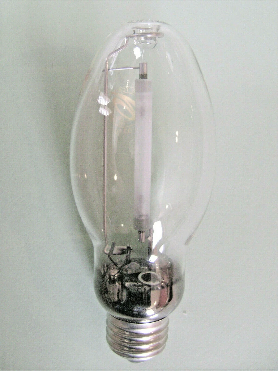 Lu100 bulb deals
