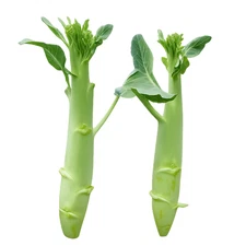 Huge Stem Gai Lan Seeds – Chinese Broccoli Big Stem Kai Lan – Heirloom, Non-GMO