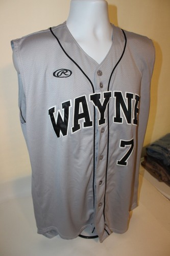 Fort Wayne Wizards Rawlings Minor League Baseball Jersey #7 Button Up Sleeveless - Picture 7 of 9