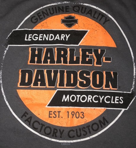 Gray Graphic Printed Harley Davidson T Shirt Women’s Oversize Sz Small - 第 8/8 張圖片