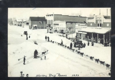 REAL PHOTO HAILEY IDAHO DOWNTOWN SNOW DOG SHOW STORES  POSTCARD COPY