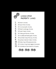 Lhasa Apso - CUSTOM MATTED - Dog Art Print - P/L