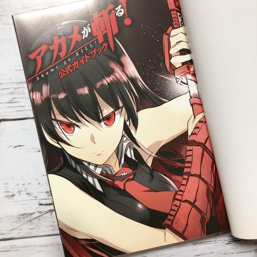 Akame ga Kill! Official Guidebook, Akame Ga Kill! Wiki