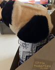 Bild 6 von 8