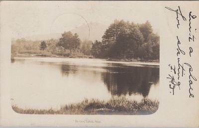 The Cove Enfield MA 1905 Quabbin Reservoir Eddy Make RPPC Postcard