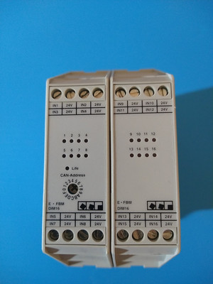 ECKELMANN FBMDIM1601 PLC Input Module