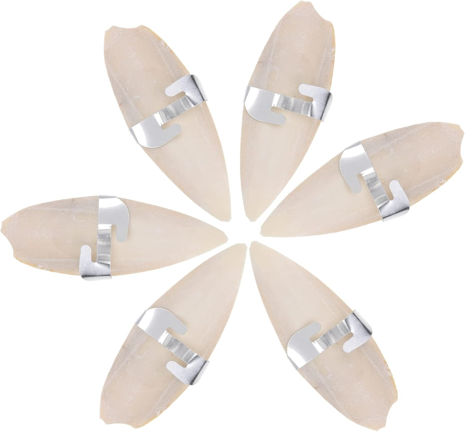 Hemobllo Cuttlebone for Birds- 6 Set Cuttlefish Bones with Metal Holder Parrot C