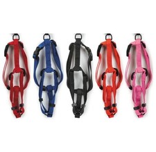 Dog Adjustable Nylon Harness Bulk Packs For Small and Medium Dogs Assorted Color