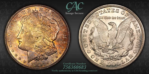 CACG MS-64 1921-S Morgan Silver Dollar, Gorgeous, Golden, End-Roll Toner!