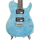Schecter Rosewood Body Electric Guitars