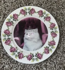 Wizarding Trunk Cute Cat Plate Saucer Umbridge Harry Potter Prop Replica