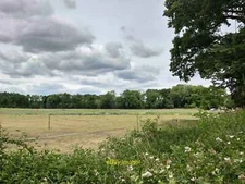 Photo 12x8 Field near Manor Farm Pirbright  c2020