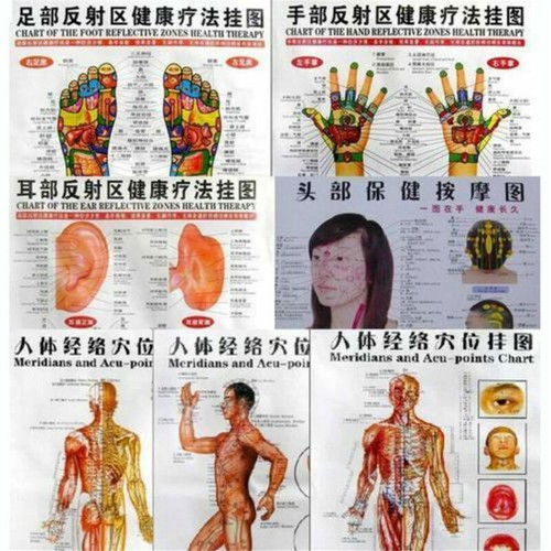 Poster grafici mappa da parete punti di digitopressione meridiano agopuntura inglese 7 pz/set - Foto 2 di 9