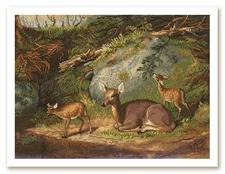 Counted Cross Stitch "Deer" Embroidery Kit Unprinted Сanvas Nova Sloboda