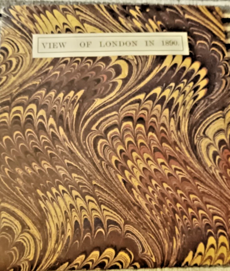 VIEW OF LONDON IN 1890  Reproduction cloth panoramic view in slip-case - Image 2 of 4