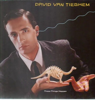 David Van Tieghem These Things Happen NEAR MINT Warner Vinyl LP
