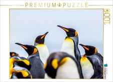 CALVENDO Puzzle K&ouml;nigspinguine - Zusammenkunft 1000 Teile Puzzle quer | 1000 Tei