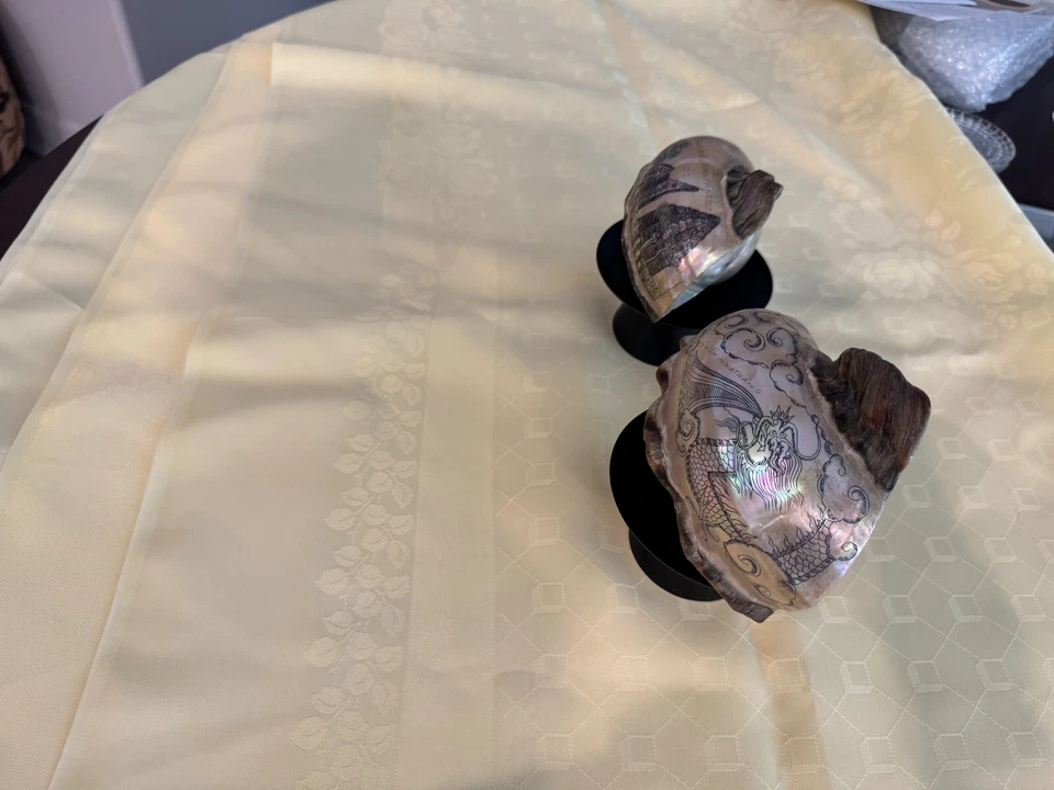 CÁSCARA GRANDE MADREPERLA CHINA PINTADA Foto 3 de 3