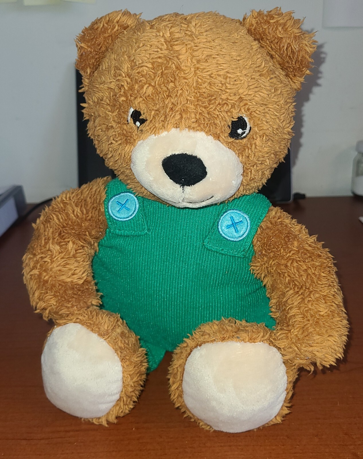 Kohls Cares Plush Bear 14