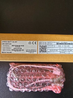 NEC CHS2U BATT CA INT (CBG-005074-001)