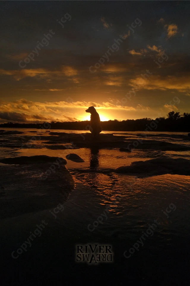 River Dreams Inspirational Poster | Canoe-River-Dog-Rapids-Sunset | Original ltd - Image 2 of 2