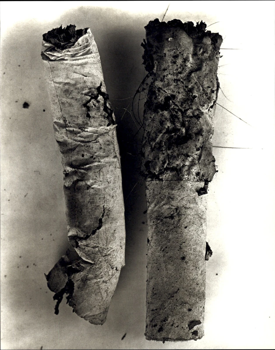 Irving Penn Art Photographs for sale | eBay