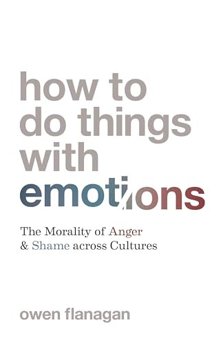 How to Do Things with Emotions : The Morality of Anger and Shame Across ... - Image 3