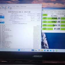 SSD NVMe M.2 256GB ESR256GTLCG-EAC-4